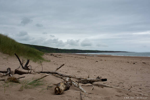 St Cyrus Natural Reserve