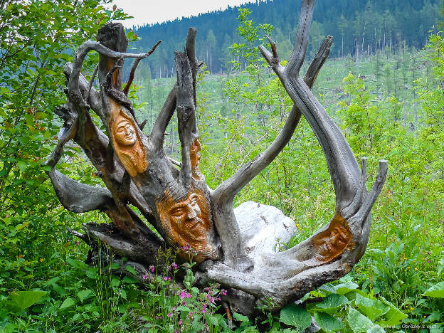 Nad zastávkou Popradské Pleso