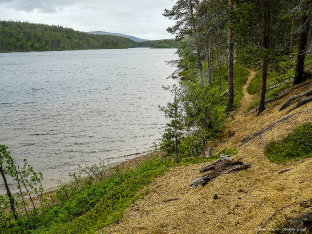 Harkäjärvi