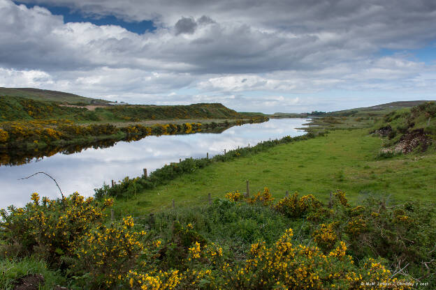 Halladale river