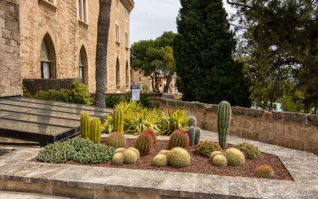 Palma - terasa Palace of La Almudaina