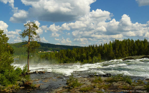 Peřeje Storforsen