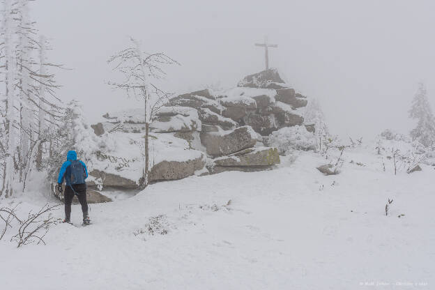 Vrchol Plechý (1378 m)