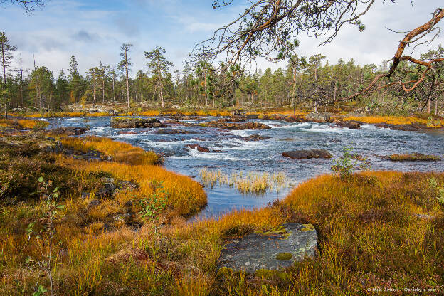 Peřeje na Suomujoki