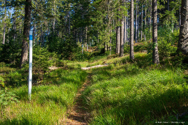 08 Šumava