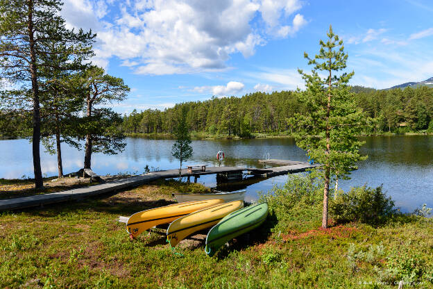 Cestou do Kvikkjoku - Årrenjarka