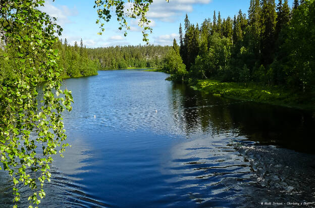 Proti proudu u Taivalköngäs