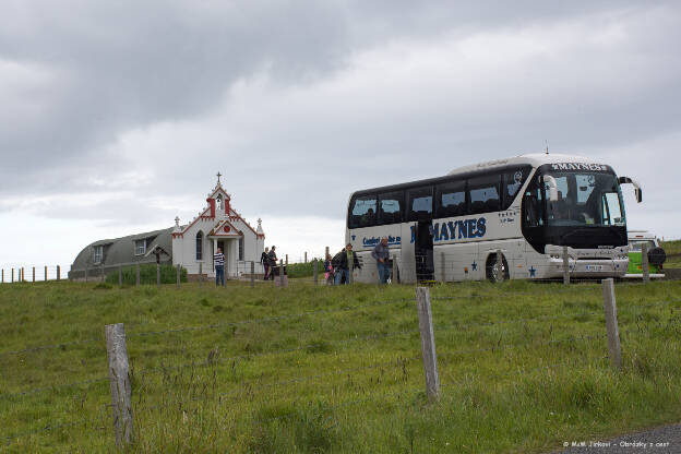 Vepřobus