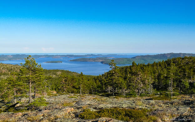 NP Skuleskogen