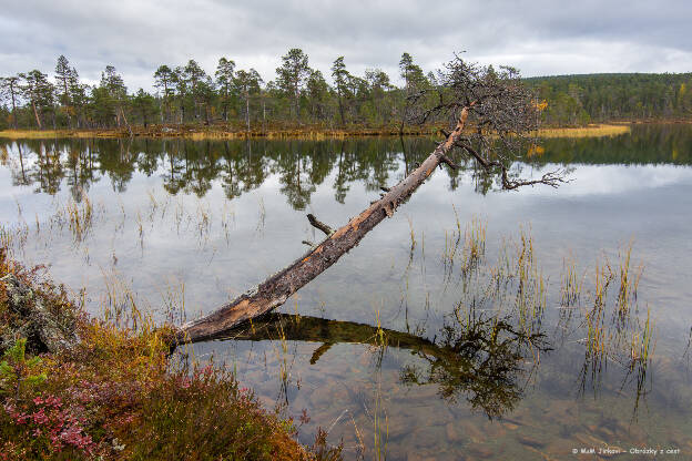 Puilakkalampi