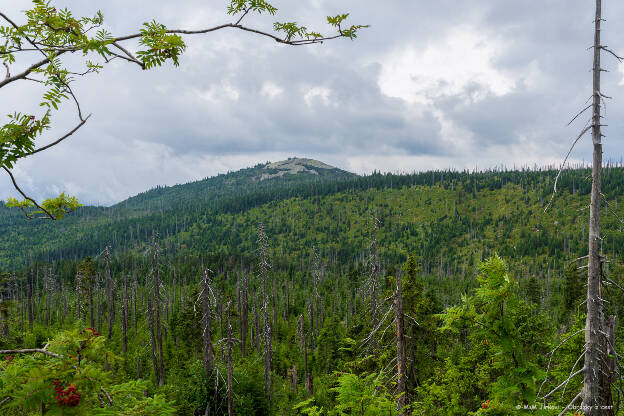 Šumava Luzný