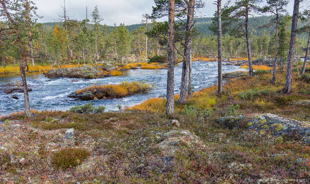 Suomujoki nad mostem