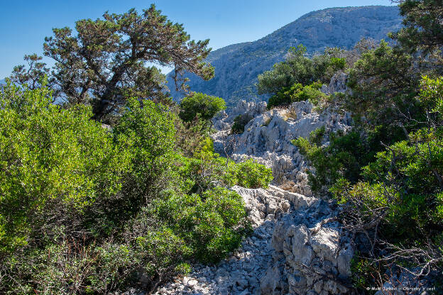 Výlet na Monte Tiscali