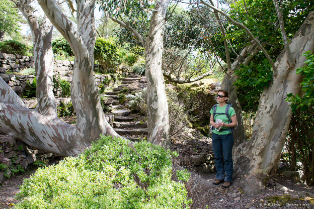 Inverewe Garden