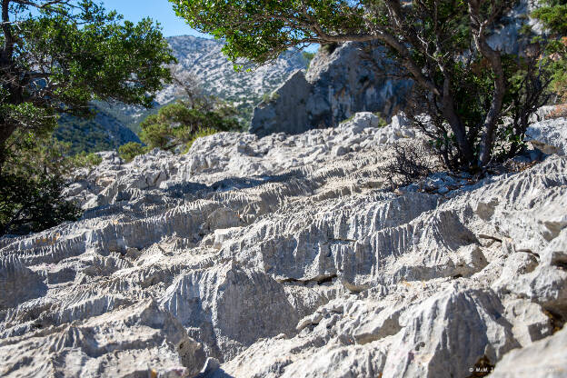 Výlet na Monte Tiscali