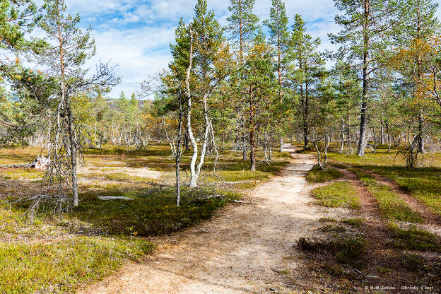 Cesta na Luirojärvi