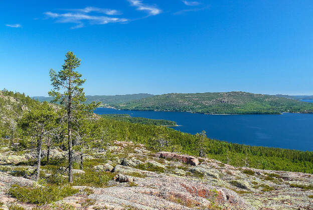 NP Skuleskogen 