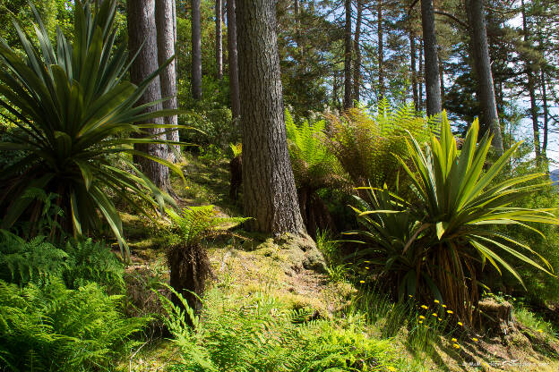 Inverewe Garden