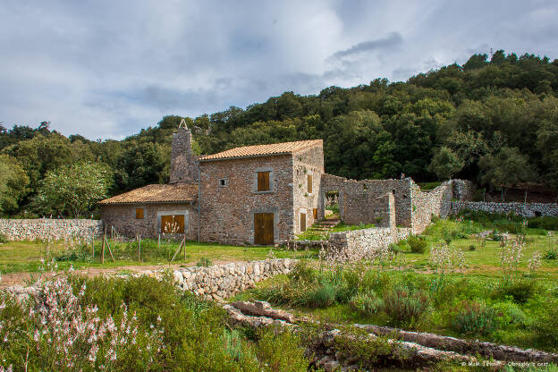 Vall de Josafat