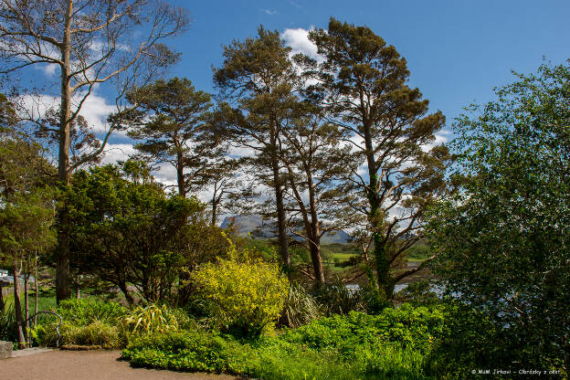 Inverewe Garden