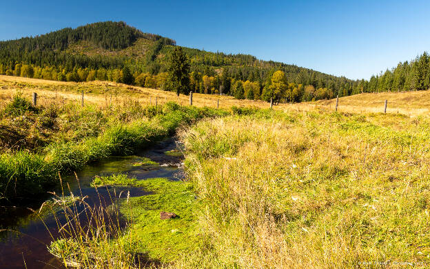 09 Šumava