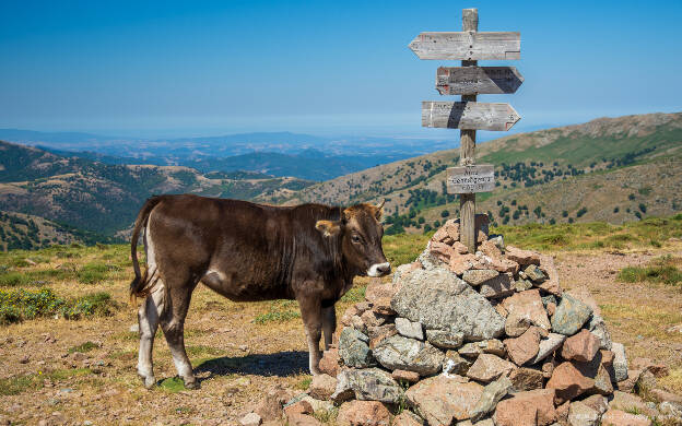 Výstup na Punta La Marmora